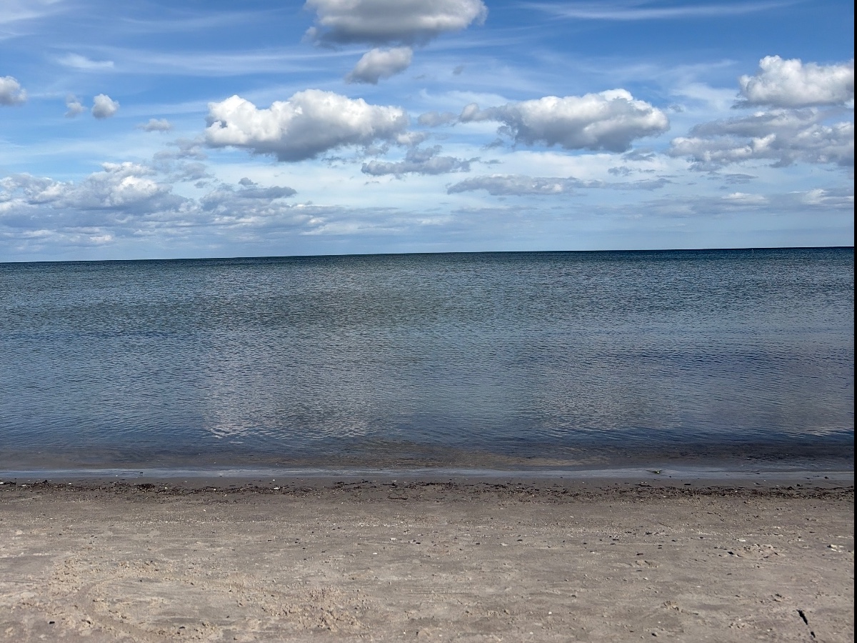 Vitviken bild 6